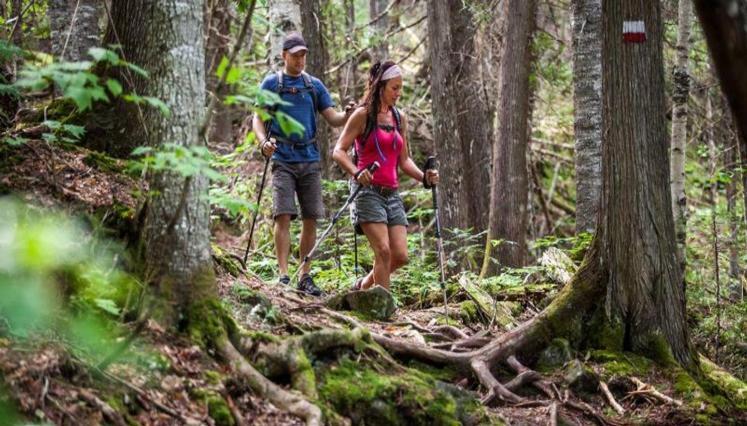 Le Nid Dore Sur Le Lac Val des Monts Exterior foto